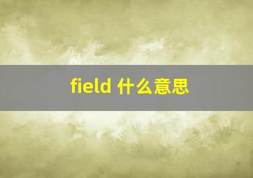 field 什么意思